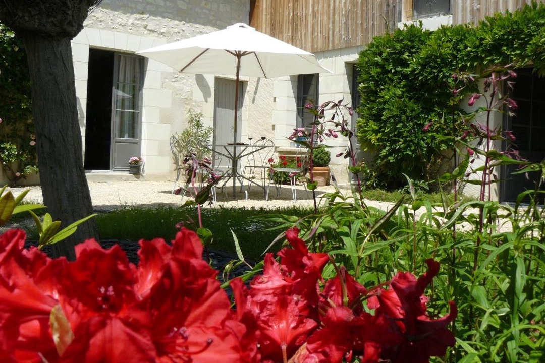 Photo of Others in Bourgueil