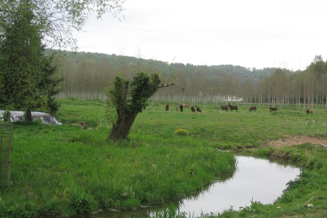 Photo of Others in Montville