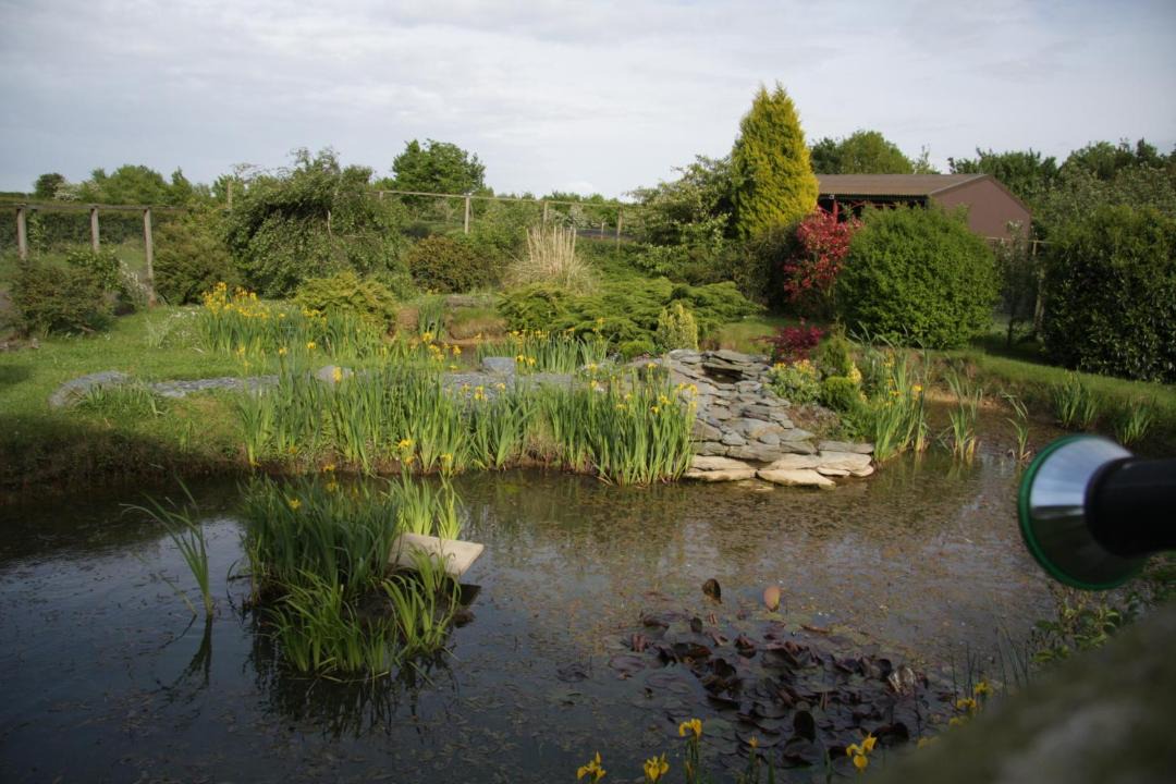 Photo of Others in Little Stukeley