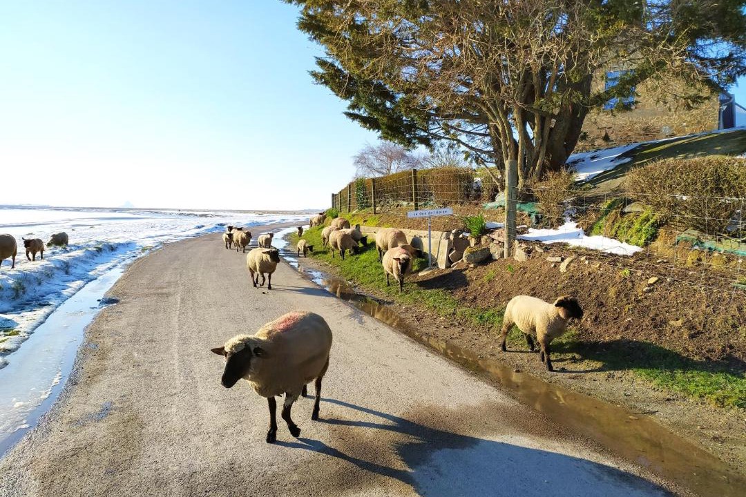 Photo of Others in Le Val-Saint-Pere