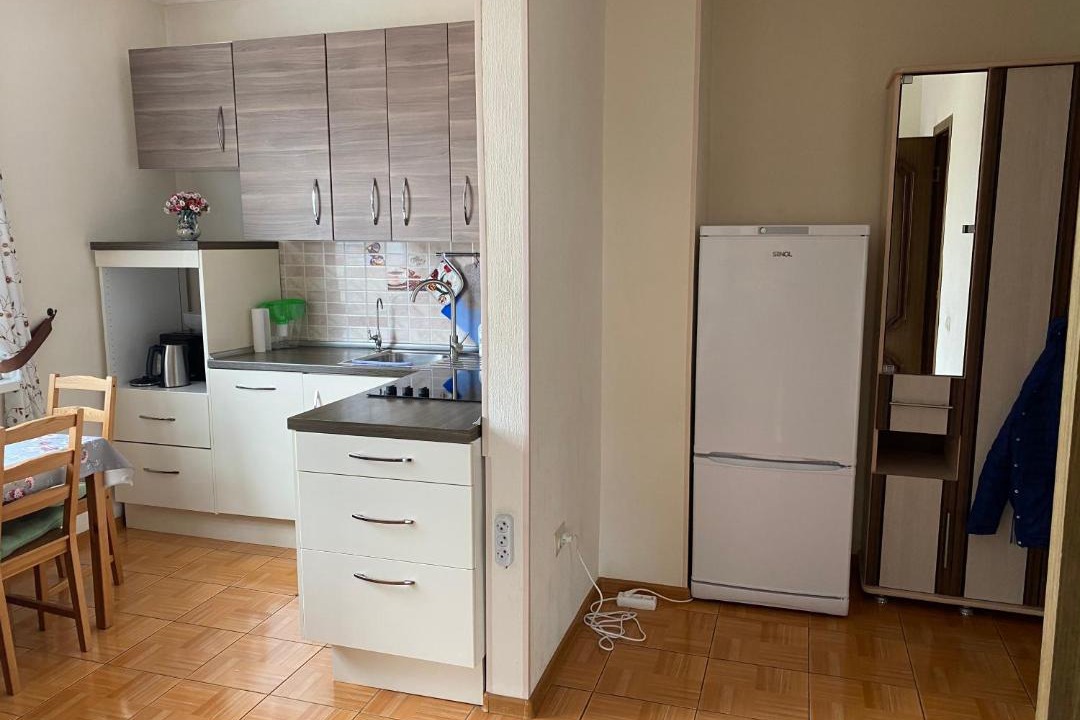 Photo of Kitchen in Golubye Dali