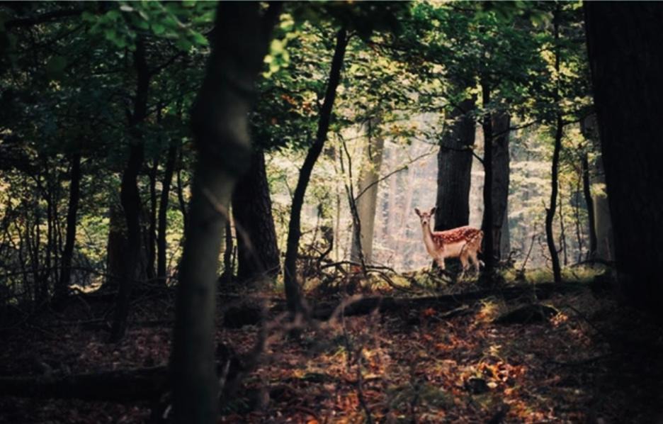 Photo of Others in Beaulieu