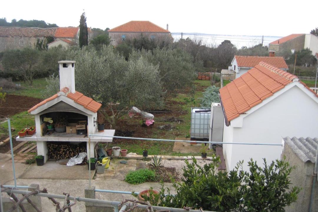Photo of Others in Olib