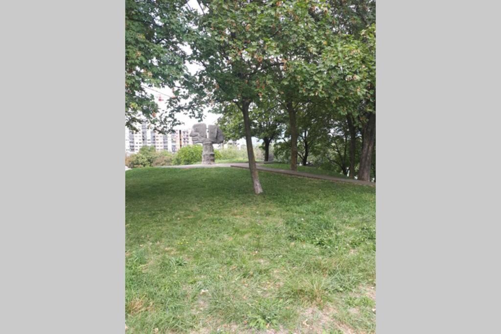 Photo of Others in Secteur 6