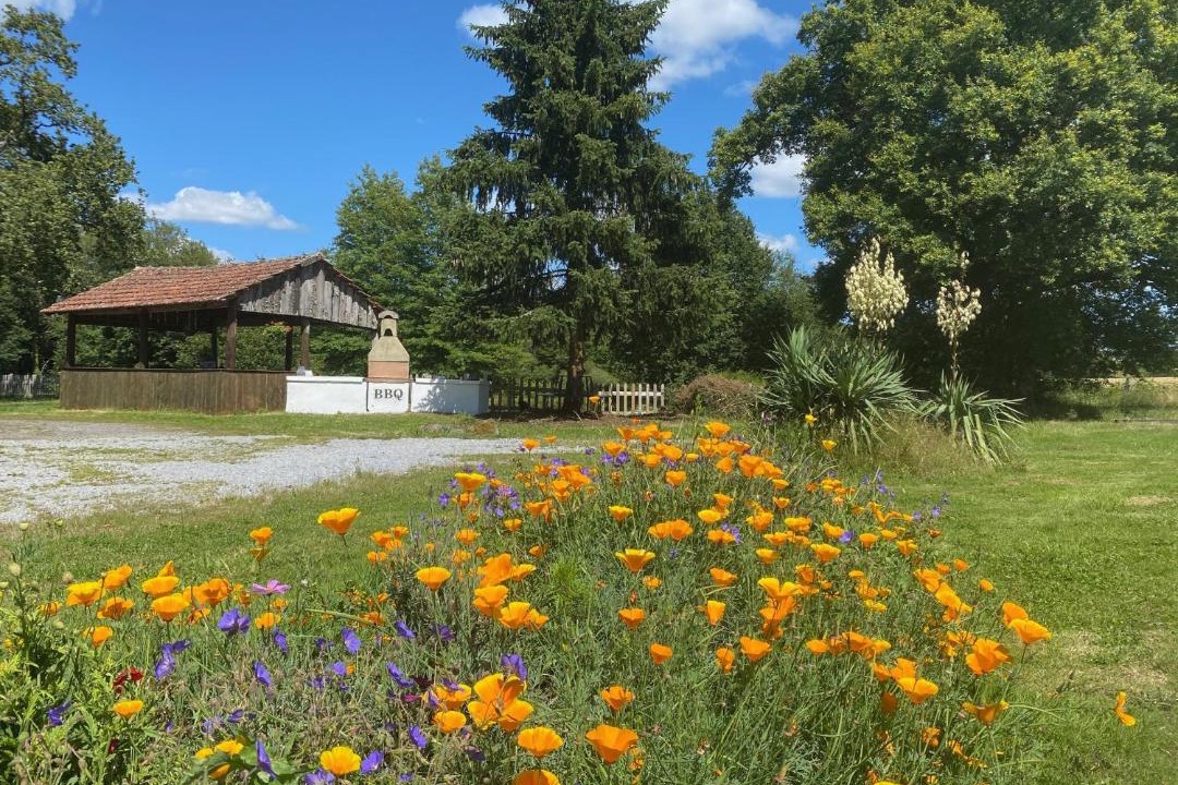 Photo of Others in Blond