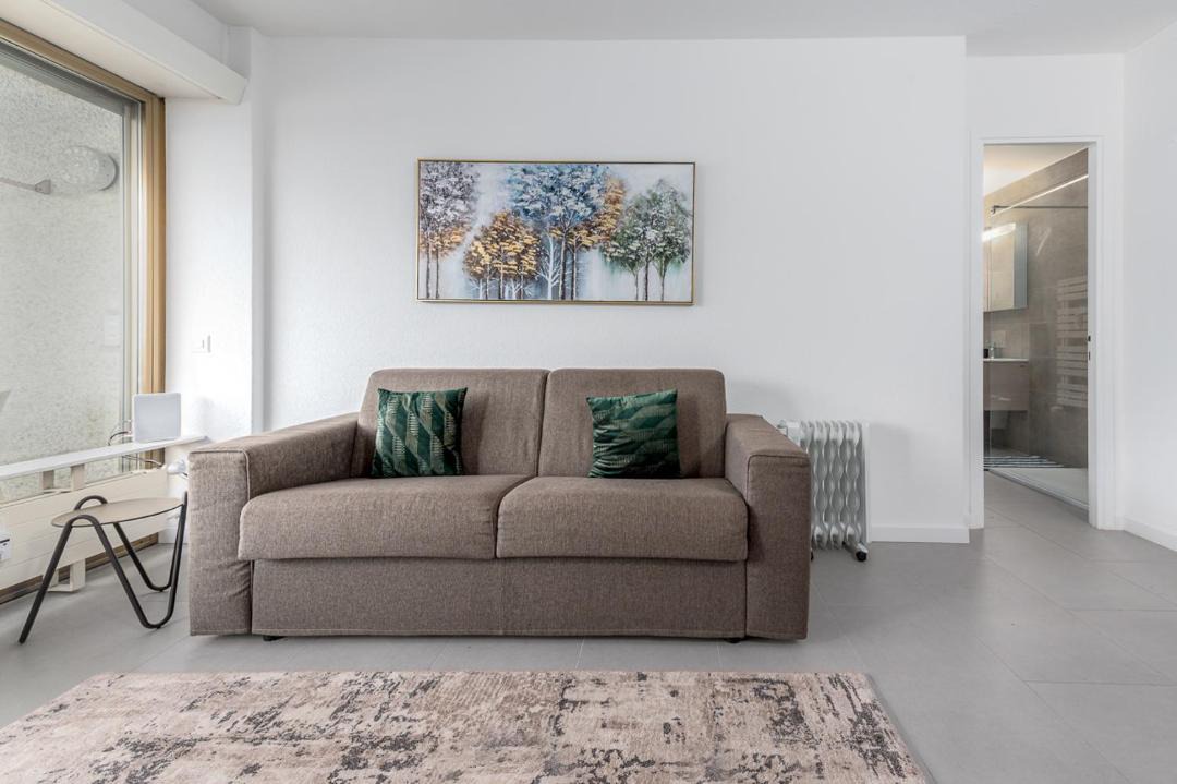 Photo of Livingroom in Minusio