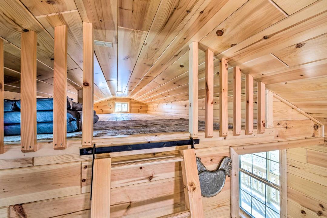 Photo of Others in Cub Run