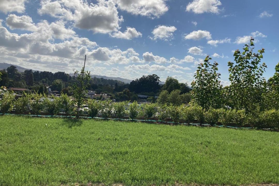 Photo of Outdoor in Cambridge