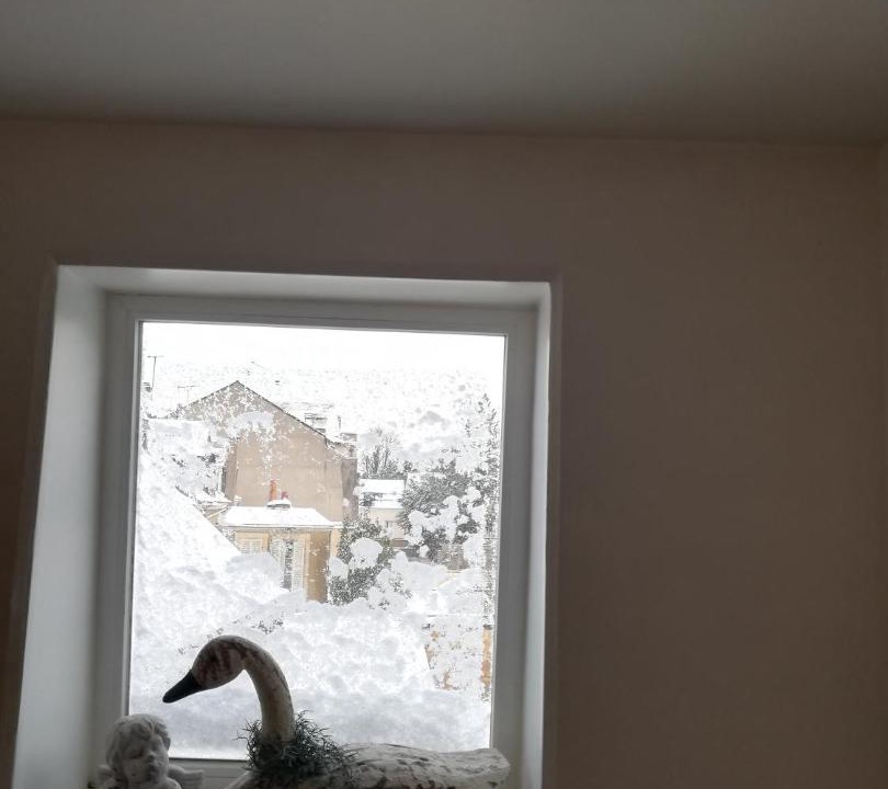 Photo of Others in Flore