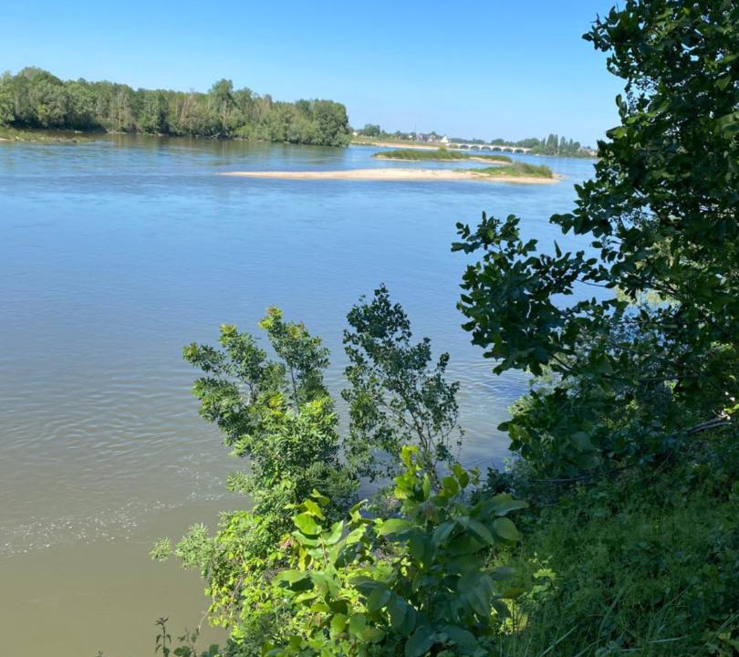 Photo of Others in Montbazon