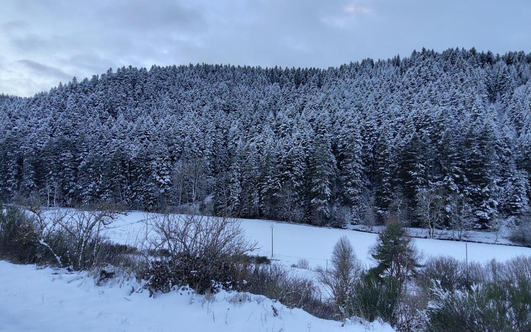 Photo of Outdoor in Sembadel