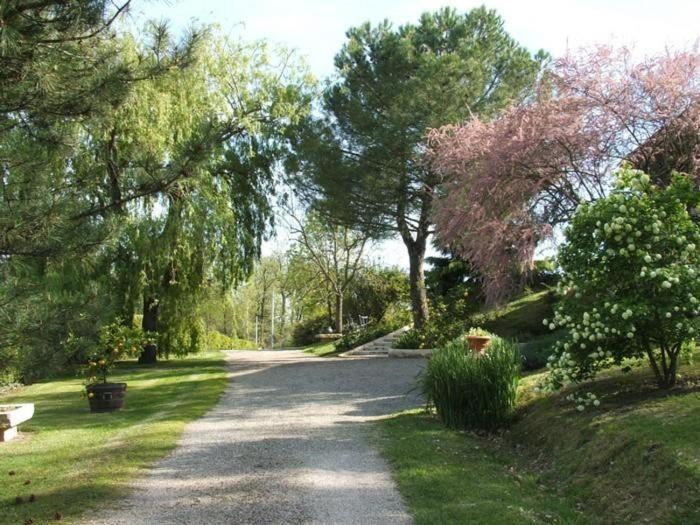 Photo of Others in Montpezat-de-Quercy