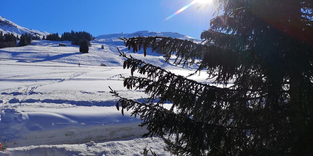 Photo of Others in Affeier