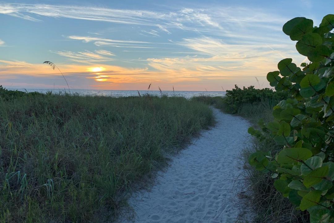 Photo of Others in Siesta Key