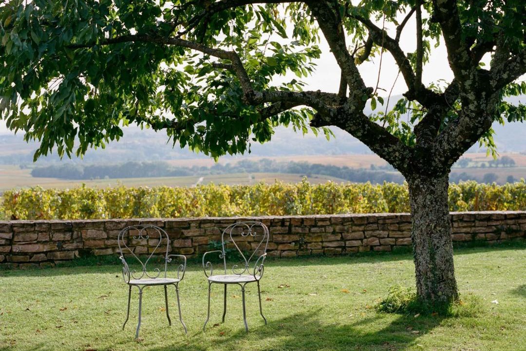 Photo of Others in Saint-Amour-Bellevue