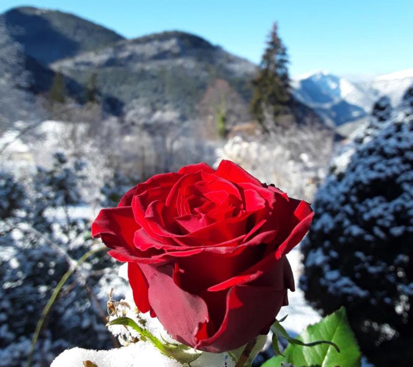 Photo of Others in Valdeblore