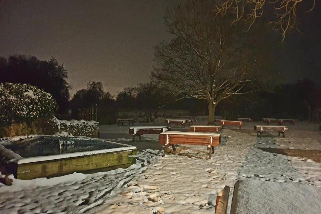 Photo of Others in Brandon