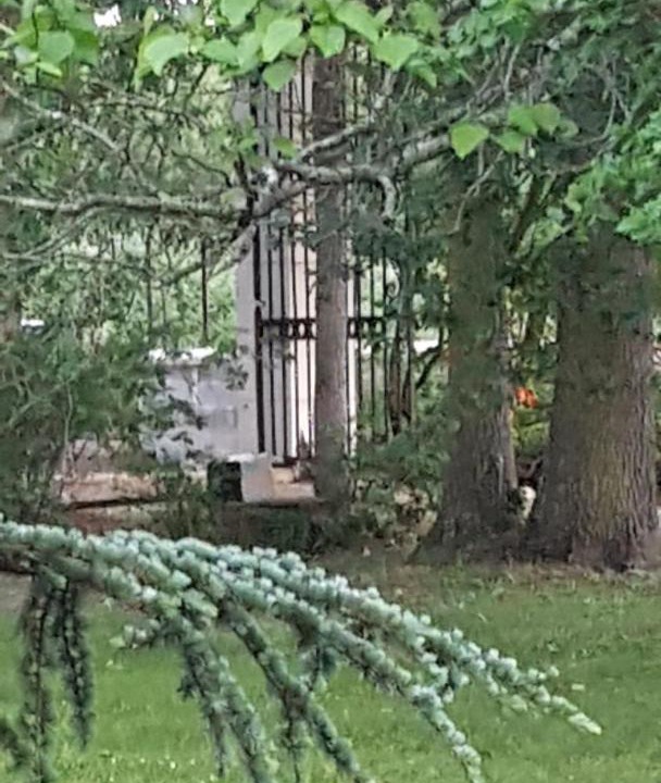 Photo of Others in Yvre-l'Eveque