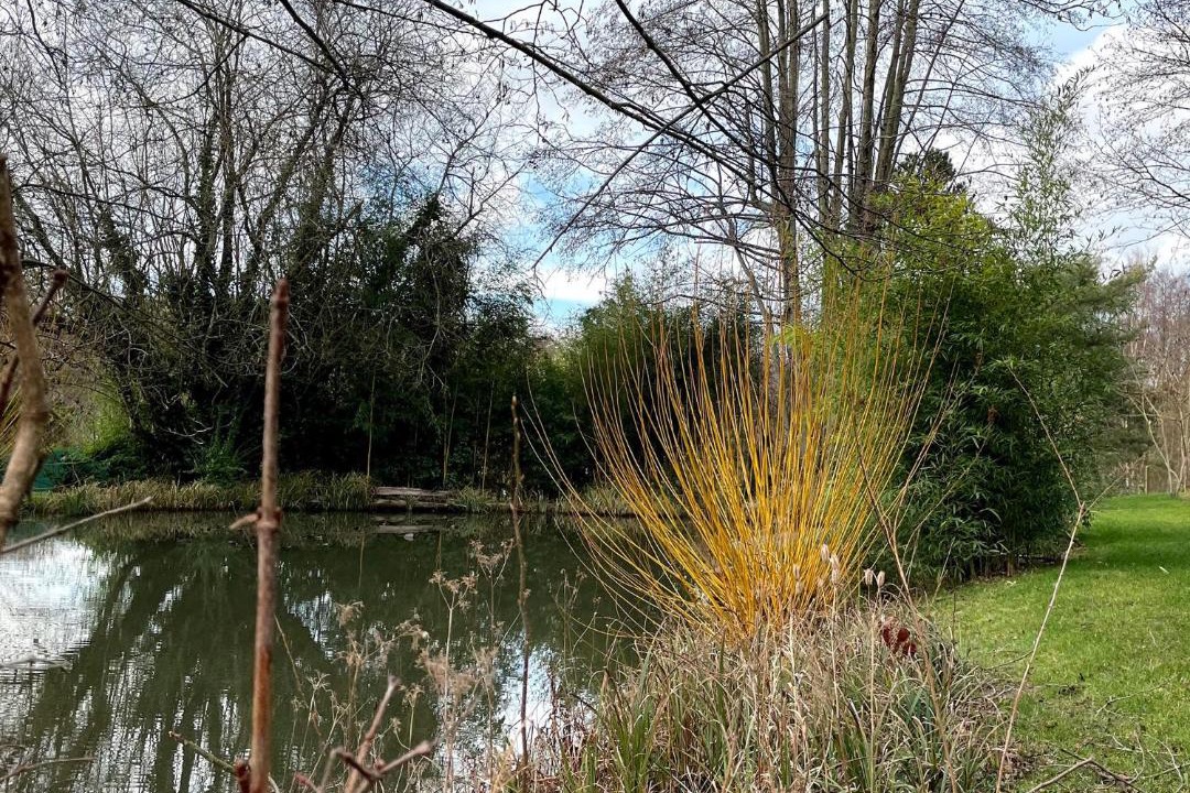 Photo of Others in Longny-au-Perche