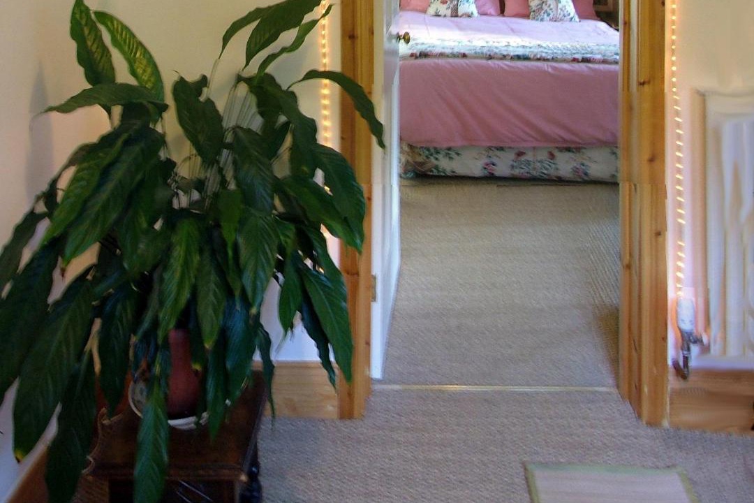 Photo of Others in Corbridge