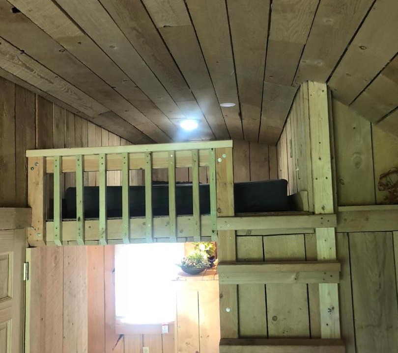 Photo of Others in East Durham