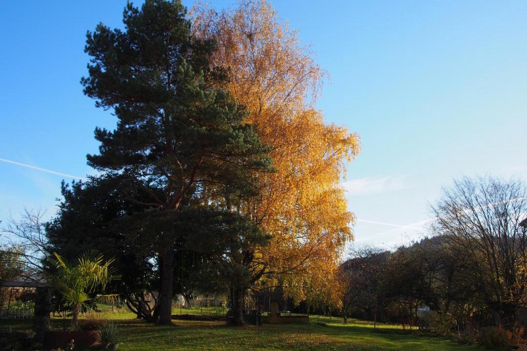 Photo of Others in Saint-Lothain