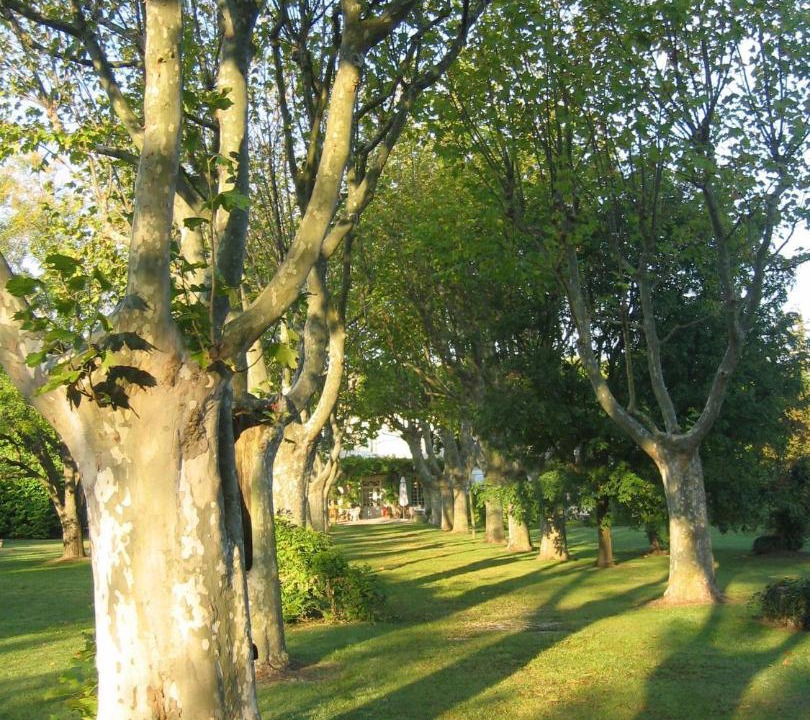 Photo of Others in Pernes-les-Fontaines