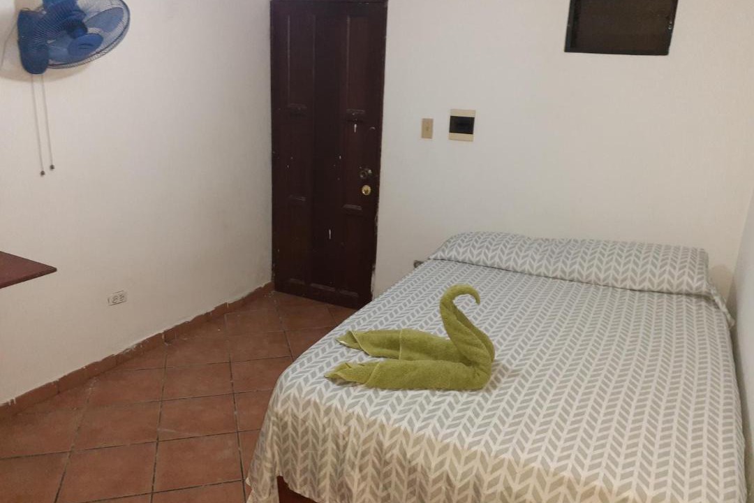 Photo of Others in Corales del Sur