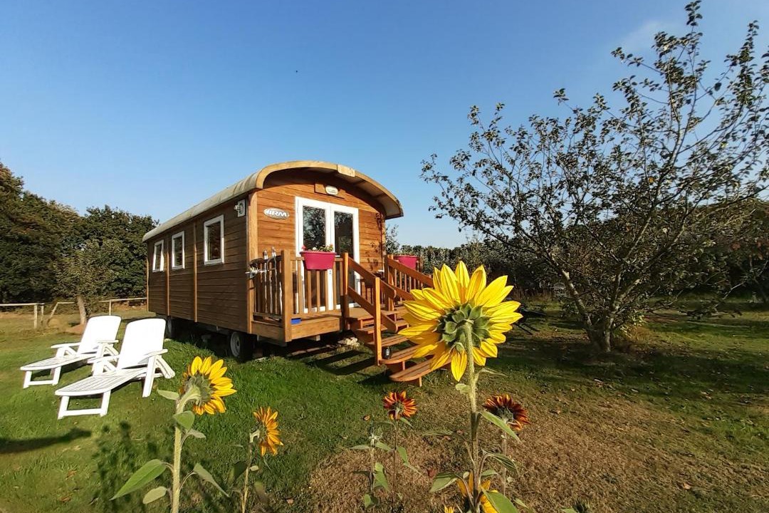 Photo of Others in Tremeoc