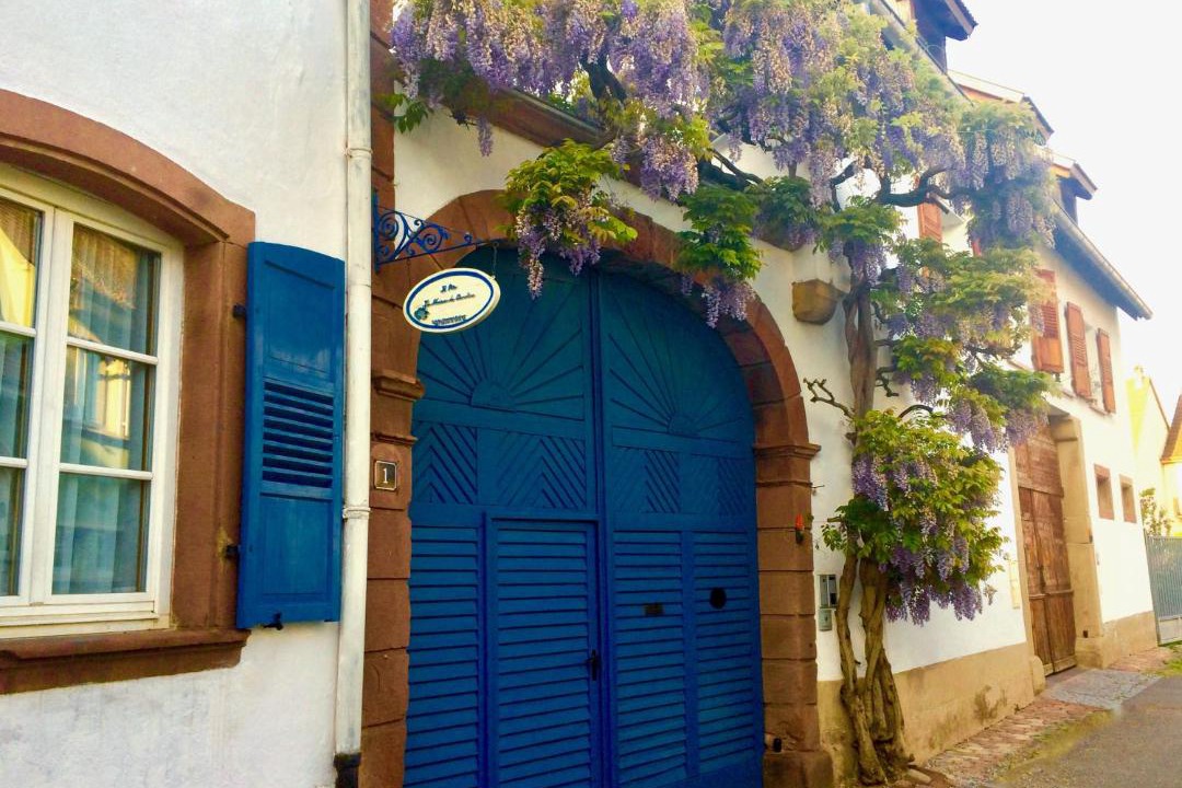 Photo of Buildings in Westhoffen