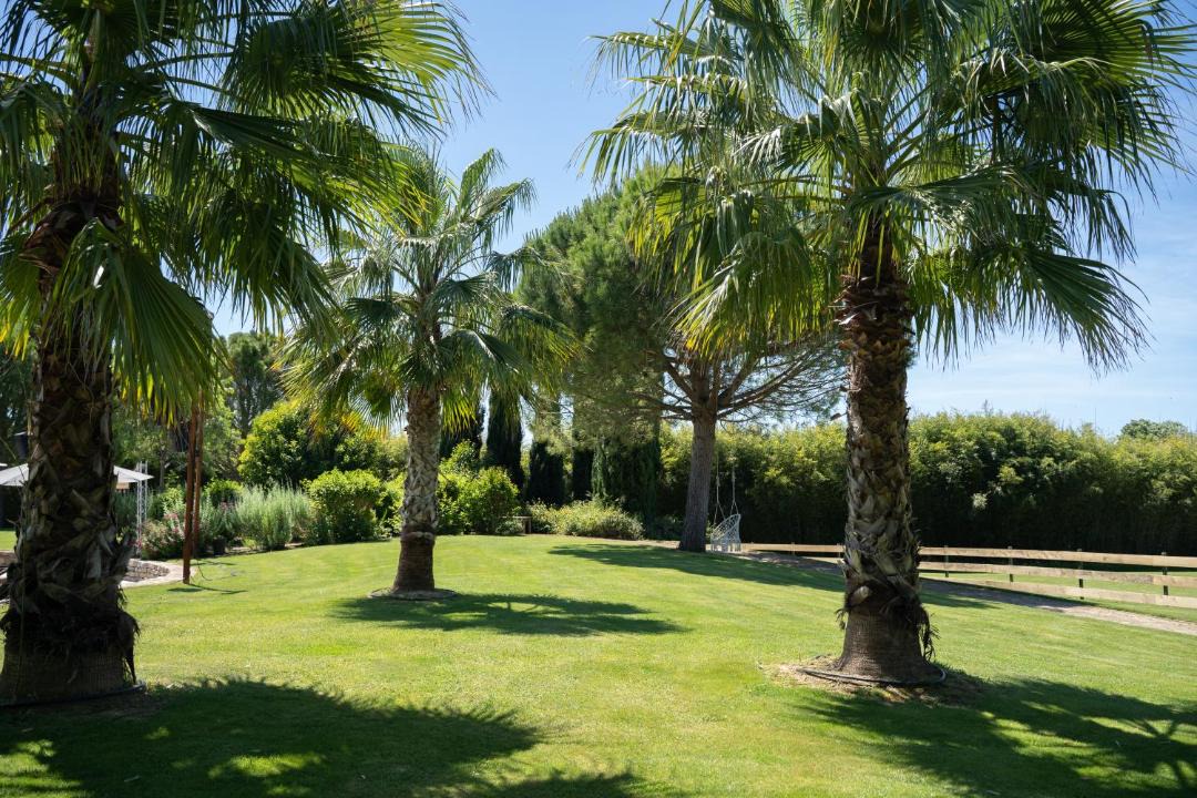 Photo of Others in Lattes