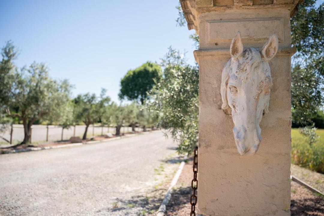 Photo of Others in Lattes