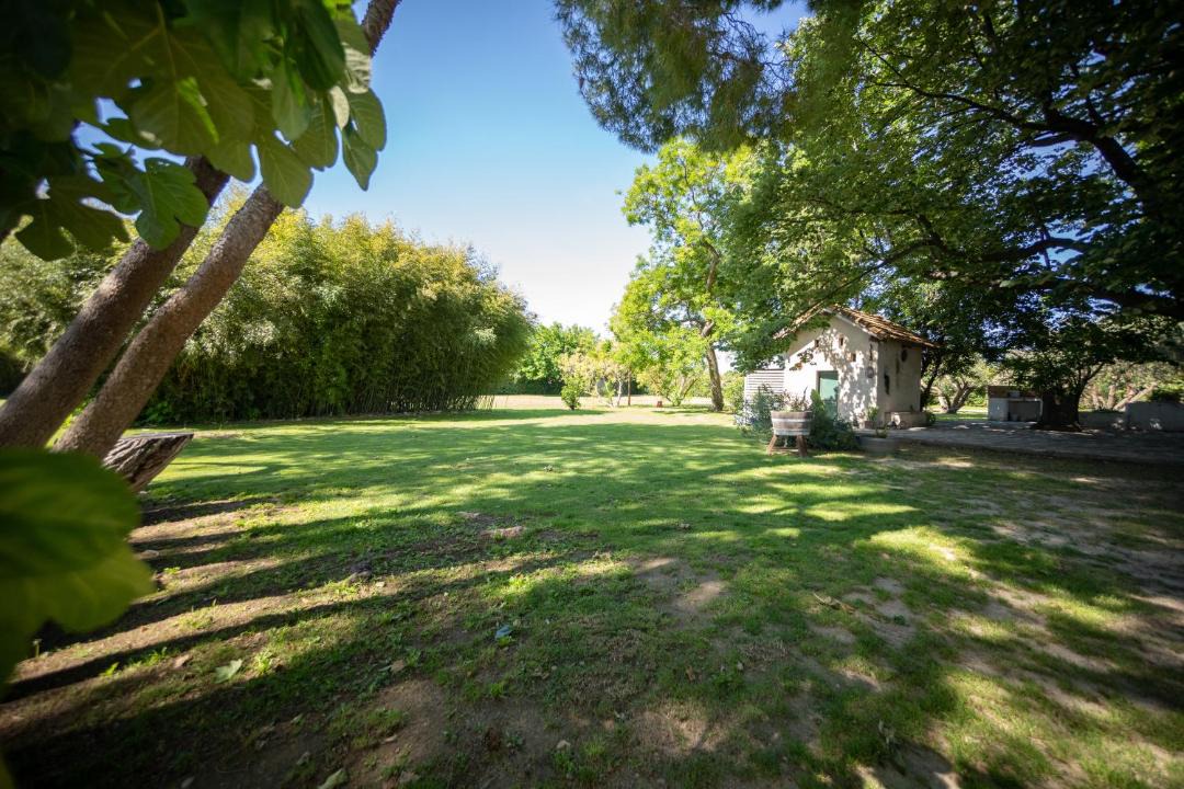 Photo of Others in Lattes