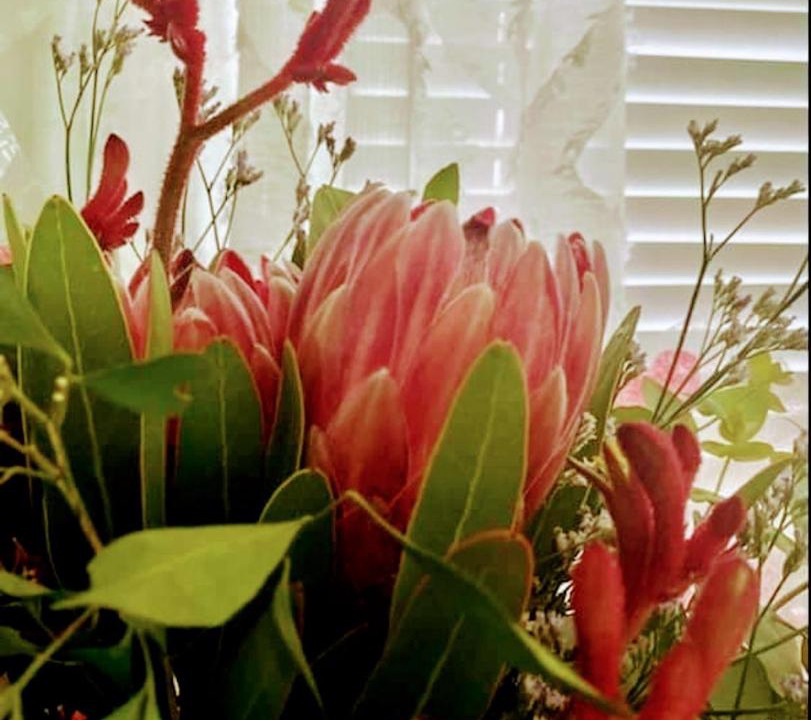 Photo of Human In Picture in Witta