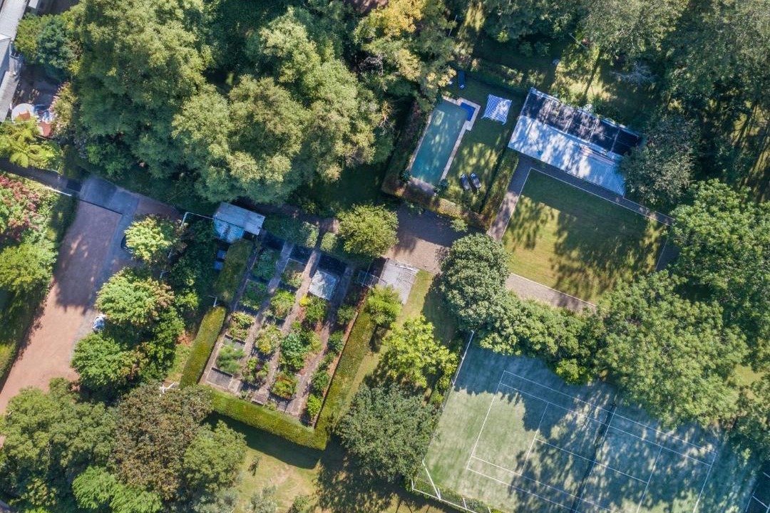 Photo of Others in Berry