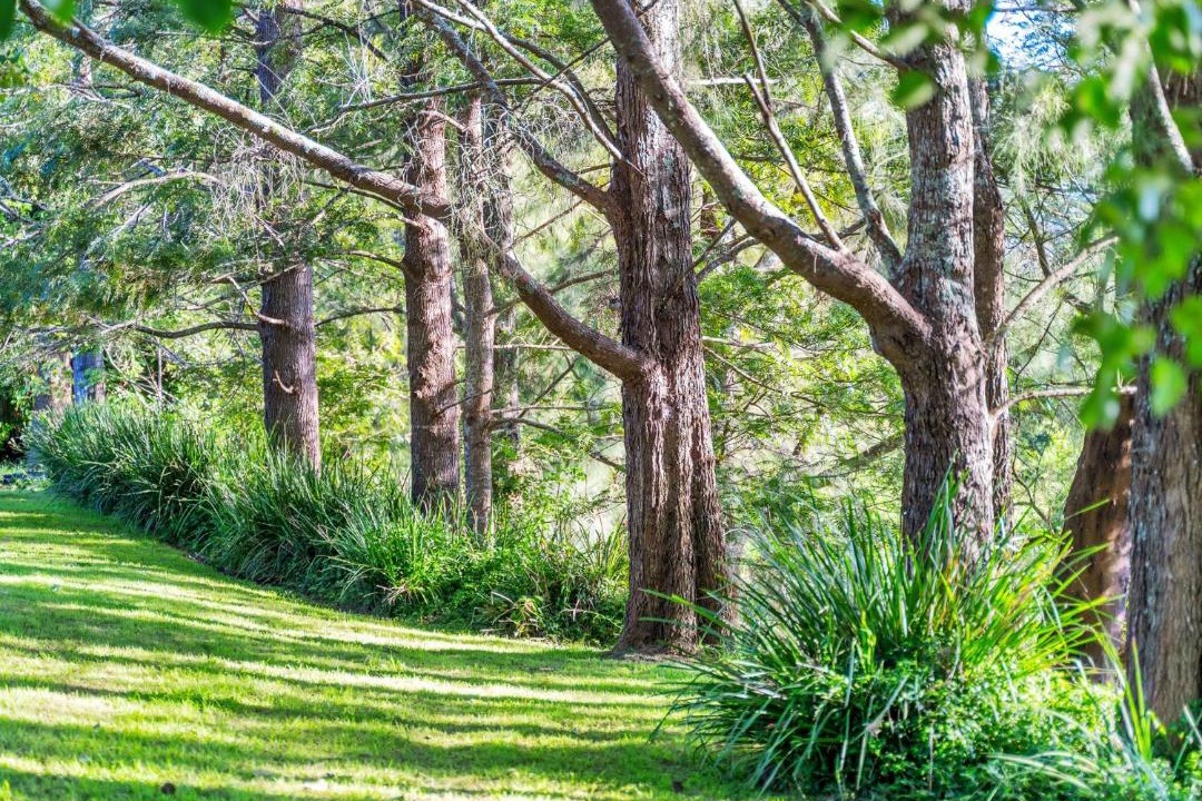 Photo of Others in Berry