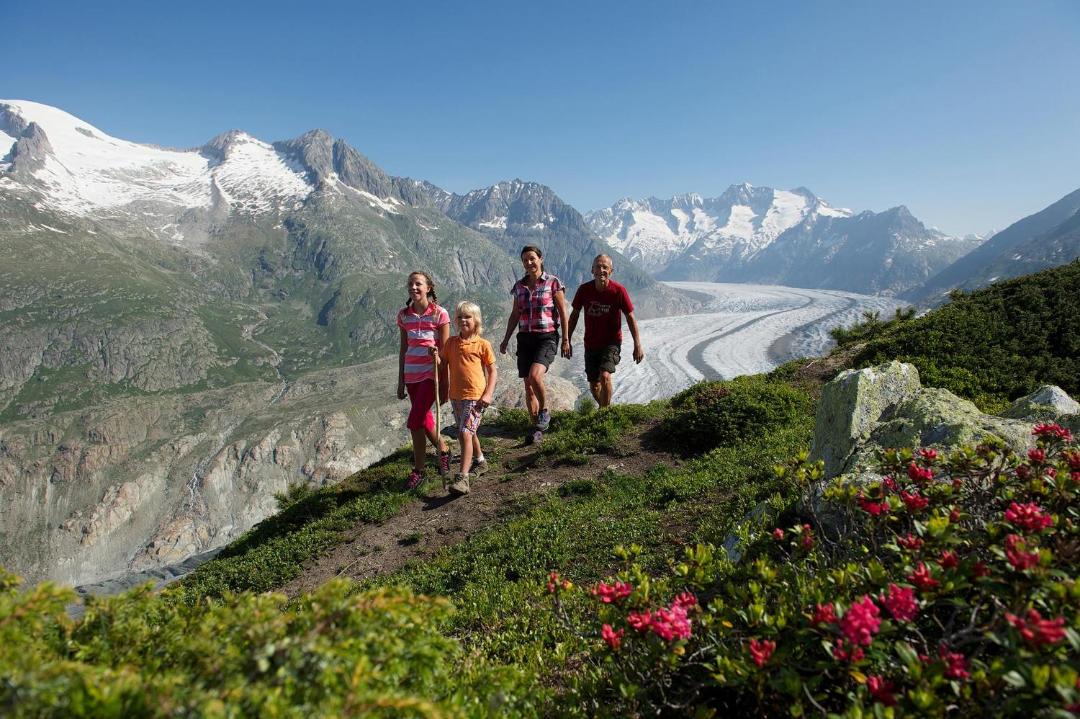 Photo of Others in Fiesch