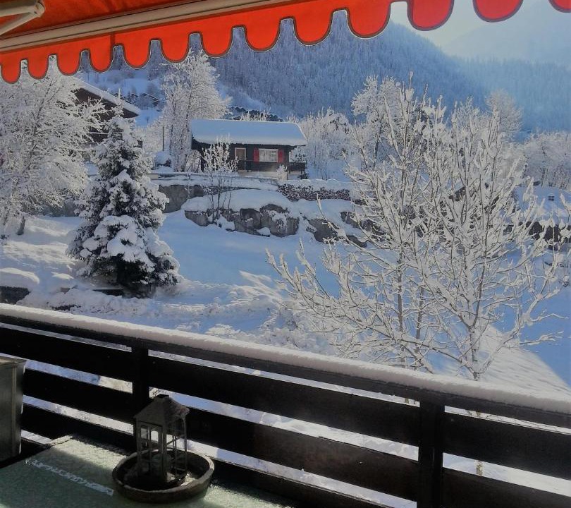 Photo of Others in Fiesch