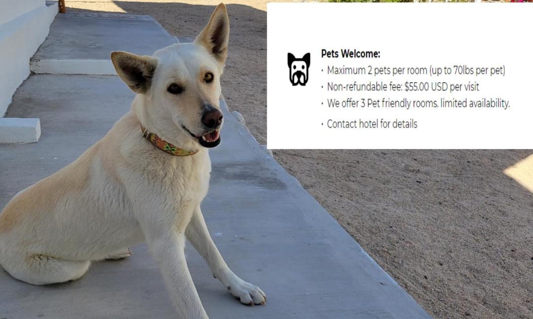 Photo of Others in Century West