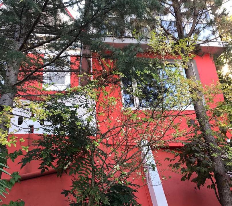 Photo of Others in Golovinka