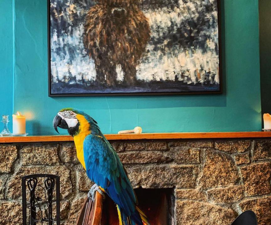 Photo of Others in Belstone