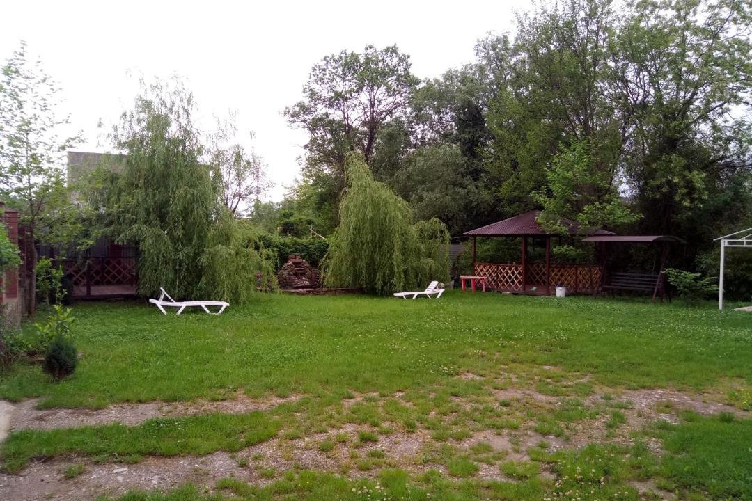 Photo of Others in Bzhid