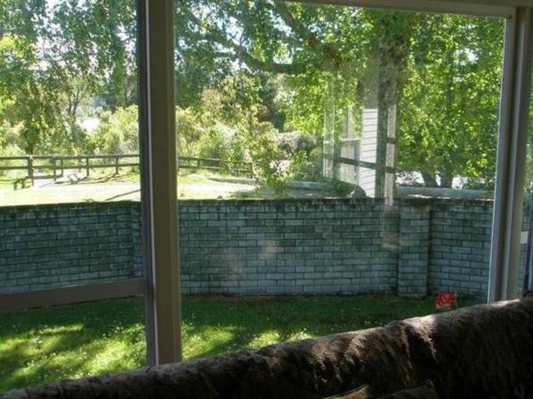 Photo of Others in Turangi