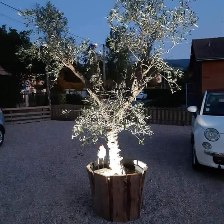 Photo of Others in Bertrimoutier