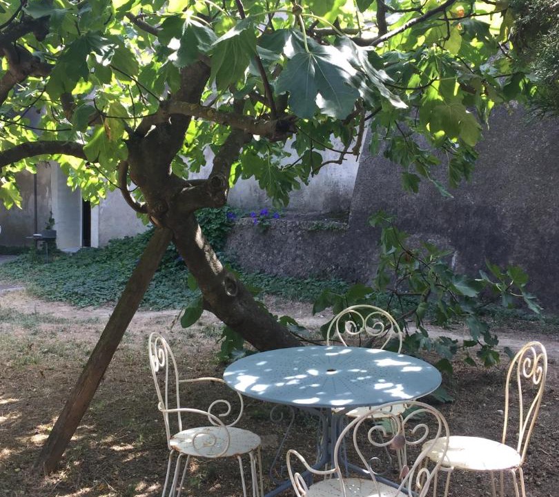 Photo of Others in Meze