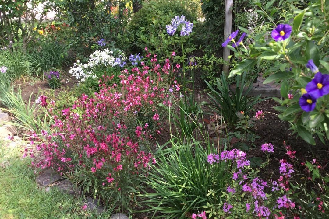 Photo of Others in Maureillas-Las-Illas