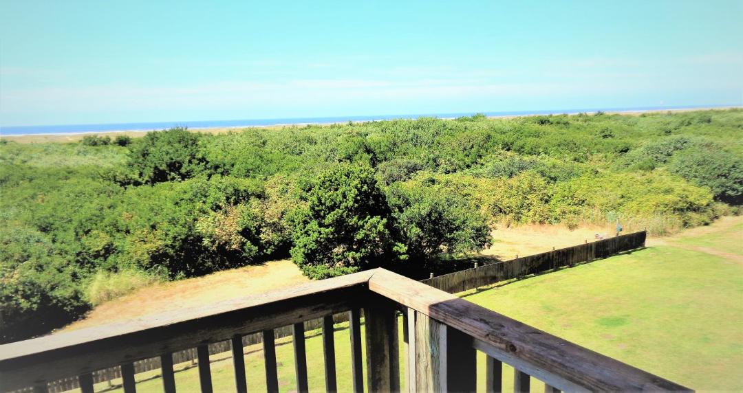 Photo of Others in Ocean Shores