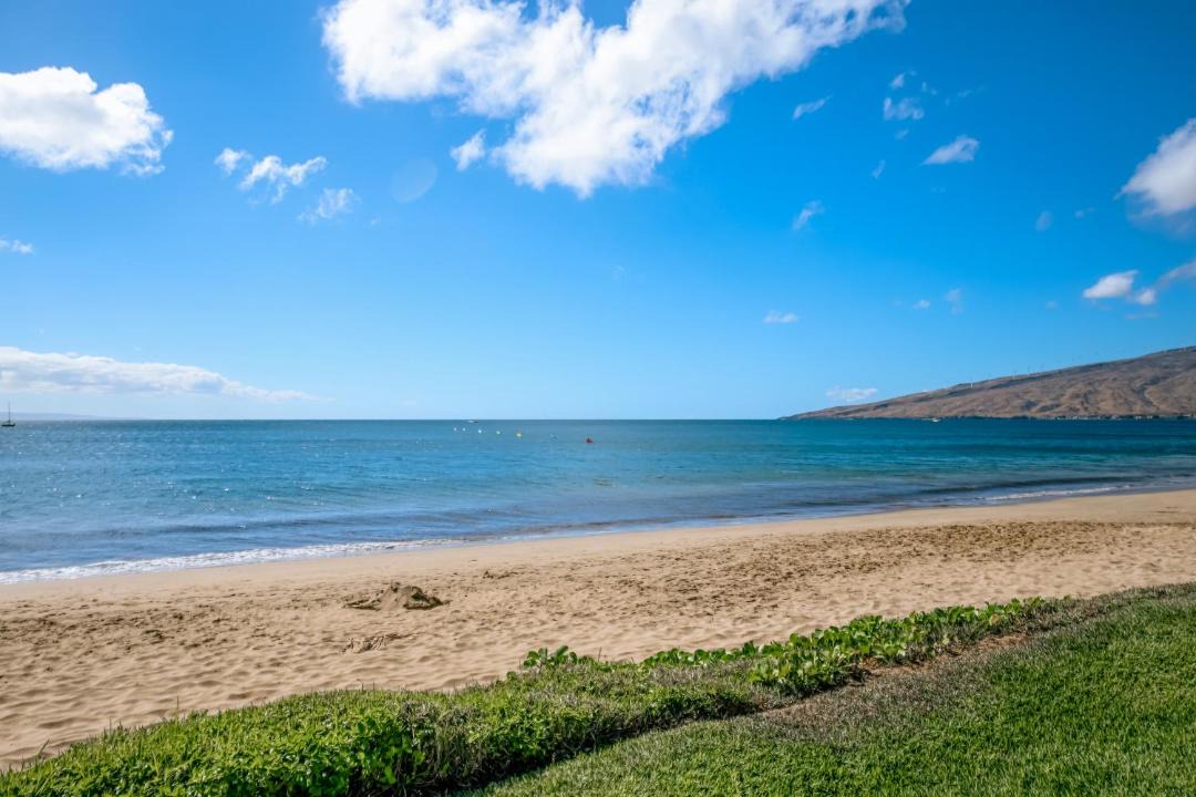 Photo of Others in Kihei