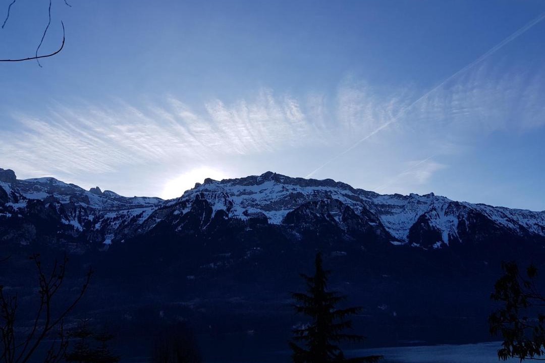 Photo of Others in Niederried bei Interlaken