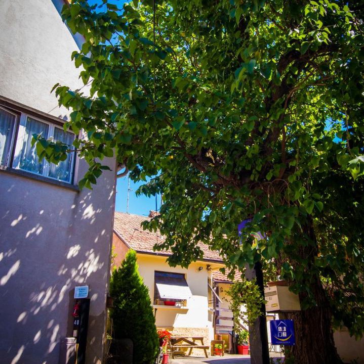 Photo of Others in Goxwiller